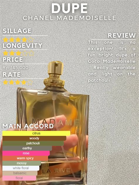 dupe finder perfume|perfume recommendation based on favorites.